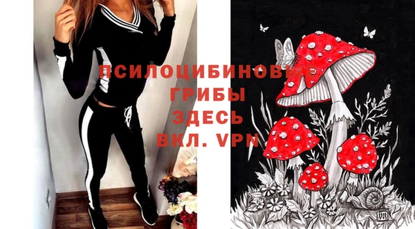 гашик Алексин