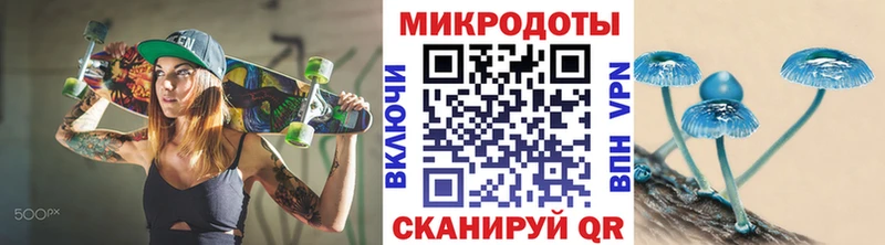 Псилоцибиновые грибы Psilocybine cubensis  площадка клад  Химки 